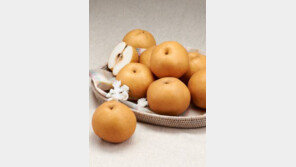 좋은 과일은? 거친 껍질, 전체적으로 고르게 착색돼야