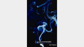 與 저가 담배 검토, 유승민 원내대표 “당 정책위원회에서 검토해보라고 했다”