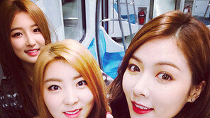 스타들의 민낯을 엿보고, 최신 트렌드도 따라잡고