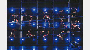 튀튀와 토슈즈를 벗다