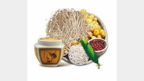 [스마트 컨슈머]산들통배고와 함께 건강한 봄 맞으세요