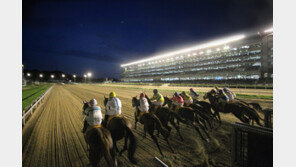 불법도박 부추기는 전자카드 전면 도입