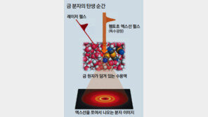 ‘1조분의 1초’ 분자의 탄생 순간 첫 포착