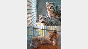 [수도권]환갑 넘긴 설표 부부 “늦둥이라도…” 