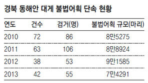 [대구/경북]동해안 암컷 대게 불법 어획 기승… 대게 씨 마른다