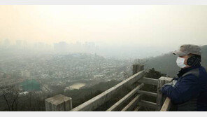 미세먼지 잡는 음식, 몸 안으로 들어온 노폐물 음식으로 배출할 수 있다