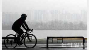 서울 초미세먼지 주의보…미세먼지 잡는 음식으로 대처하자