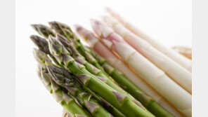 밀레니엄 서울힐튼, 봄요리 3월부터 선봬