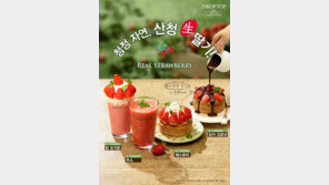 드롭탑, 지리산 산청 生딸기로 만든 ‘리얼 스트로베리’ 4종 출시
