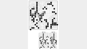 [바둑]제58기 국수전… 실착 147