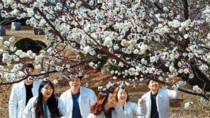 꽃망울 터뜨린 매화… 설레니까 청춘이다