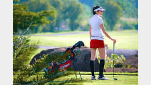 산뜻한 컬러로 화사함 뽐내고 똑똑한 기능성으로 실속까지 챙겨