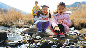 [광주/전남]“봄이 왔어요”