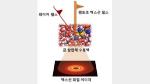 국내 연구진, 1000조분의 1초 관측 성공 ‘쾌거’