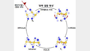 1000조분의 1초 관측 성공, 질병 치료-신약 개발 등에 필요한 기초정보 제공