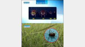 야생진드기, 의료진 2차 감염 확진… 심폐소생술 중에