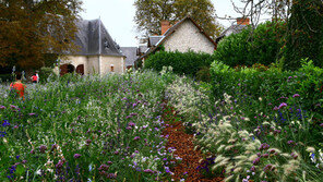 [Q매거진]영국·네덜란드·프랑스… 역사가 담긴 봄정원을 걸어보자