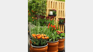 [Q매거진]재빨리 싹튼 잡초 뽑고, 퇴비로 흙 기운 돋우고… 