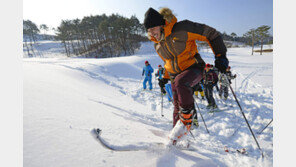 [Q매거진]순백의 눈밭에 뒹굴어도 좋다… 달콤 쌉싸름한 산악 스키의 매력