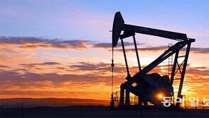 [Money&Life]꿈틀대는 국제유가… 후끈대는 원유 ETF 