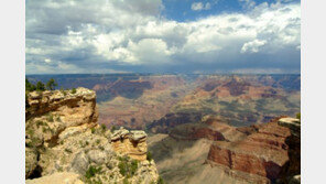 류현진 등판 경기 관람 포함 美투어상품 등장