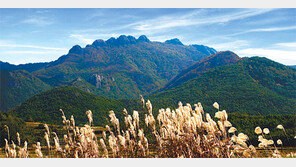 [광주/전남]‘힐링의 고장’ 고흥으로 오세요