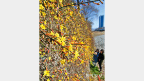 [광주/전남]“봄이 왔어요”