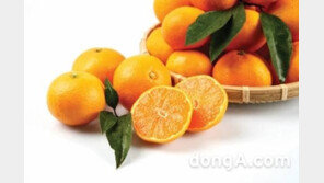 귤껍질 활용법 공개, 입욕제·손난로·차·가습기…