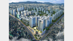 프리미어팰리스·센트라스·더테라스… 럭셔리 애칭 붙여 이미지 UP