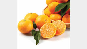 기관지 건강에 좋은 식품, 어떤 성분이…비타민C는 기본 설포라판까지?