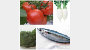 기관지 건강에 좋은 식품, 브로콜리·고등어·토마토·무 등…효능은?