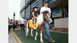 승마는 귀족스포츠? 렛츠런CCC서 저렴하게 배우자