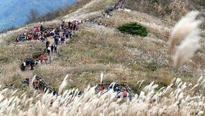 한국인이 좋아하는 취미 1위, 등산… 40대 이상 남녀, 공감!