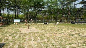 서울시 ‘반려견 놀이터’ 3월 1일 재개장