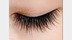 최적의 속눈썹 길이… 눈 길이의 3분의1, 적당해