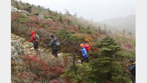 한국인이 좋아하는 취미 1위는 등산, 좋아하는 운동은 등산이 2위…1위는?