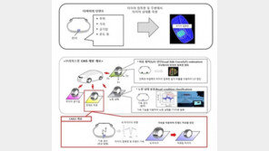 “똑똑해지는 타이어” 브리지스톤, 타이어 정보 감지 기술 개발