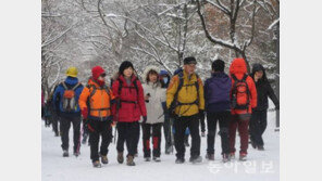 한국인이 좋아하는 취미, 1위 등산·2위 음악감상·3위 헬스 등