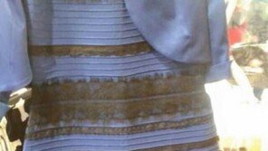 ‘파검 vs 흰금 드레스 색깔 논쟁’ 가수 보아 “흰금으로 보인다”