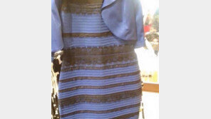 드레스 색깔 논란 ‘전세계 들끓어’… 결론까지 발표