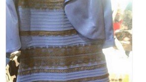 드레스 색깔 논란, 인터넷 화제… 실제 드레스는 파란색-검은색