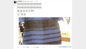 ‘드레스 색깔 논란’ 샤이니 종현 “흰골이라고? 난 파검”…해당 드레스 보니?