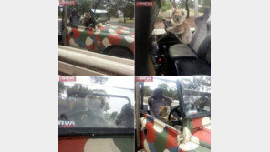 지프차 운전대 잡은 호주 코알라, 사이드 보는 폼이…