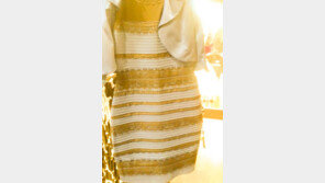 드레스 색깔 논란, 흰금? 파검? 다르게 보이는 원인에 의료계 ‘술렁’