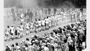 [책의 향기]“오늘은 살아남았다” 안도하는 내가 罪스럽다