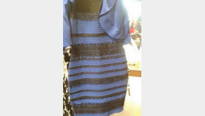 ‘드레스 색깔 논란’ 판매업체, 홍보 효과… 실제 판매 금액은?