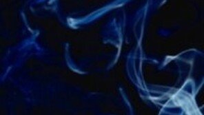 레너드 니모이 별세, '할아버지가 말하는데 지금 당장 담배 끊어라'라고 충고…