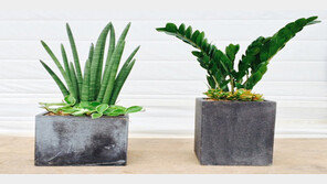 이마트, 새봄 맞이 초대형 홈스프링 페스티발 개최