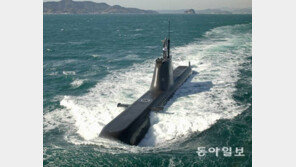 유관순, 바다의 수호신으로 부활…해군 새 함정 이름 ‘유관순함’