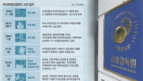 보이스피싱 오해 받아가며… 돈 찾아준 금감원